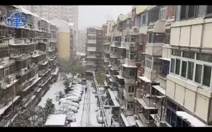 立冬雪至，风雪中的守护者就位！漫天飞雪，感谢有你！