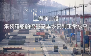 上海洋山港集装箱船舶流量基本恢复到疫情前正常水平