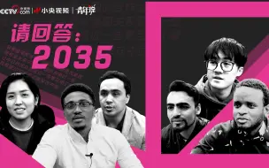 请回答2035：外国人眼中的小期待