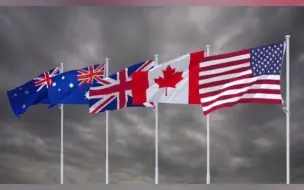 五眼联盟是怎样吃掉澳大利亚的午餐的？