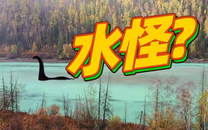 喀纳斯湖里藏着巨型“水怪”？