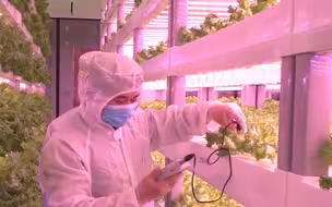 解放军种菜也有黑科技