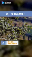 走！去丽水赏花去！