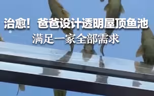 治愈！爸爸设计透明屋顶鱼池，满足一家全部需求