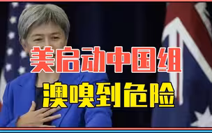 美启动中国组，有重大行动？澳嗅到危险、拒绝配合，外长宣布访华