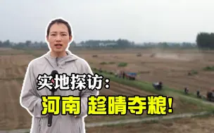 聚焦三农丨抢抢抢，趁晴夺粮！