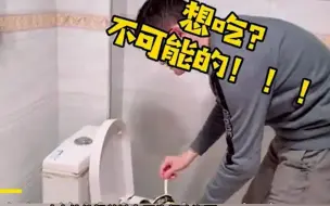 孕妈妈见丈夫进卫生间未出来，推开门一看又气又馋，丈夫反应亮了