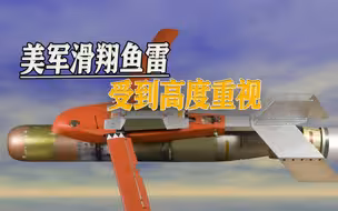 美军反潜机增加新能力，滑翔鱼雷受到高度重视，中国也有类似产品