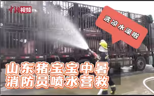 山东滨州：猪宝宝中暑 消防员前来营救