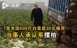 河南商丘一菜农因五百斤白菜卖30元痛哭？当事人承认系摆拍