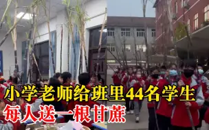 小学老师给班里44名学生送甘蔗：每人都有，寓意努力结果就是甜的