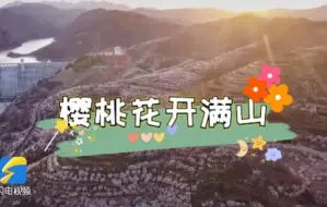 日照五莲樱桃花开满山 花海如潮