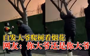 白发大爷爬树看烟花表演，拍摄者：看的人很多，大家都想找个高点