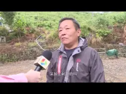 括苍农民种出90多斤大冬瓜