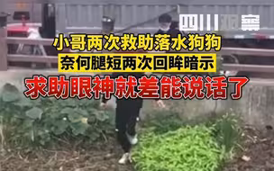 落水狗狗求助眼神就差能说话了