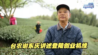 “登陆”开展事业“第二春”，台农谢东庆讲述背后机缘