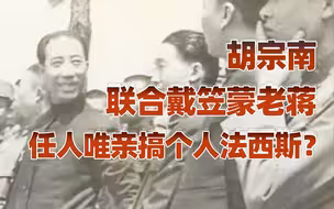 【卢克文工作室】胡宗南真是“我党间谍”吗？（三）: 胡宗南联合戴笠蒙老蒋