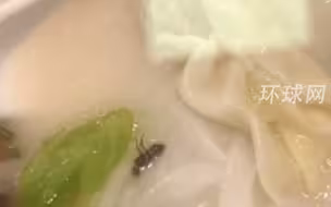 流窜80个地区，疯狂作案700余起！男子故意将蚂蚁放入饭中，称吃出蚂蚁索要赔偿