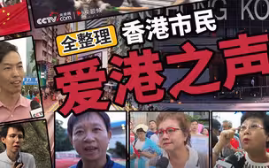 全整理：香港市民，爱港之声
