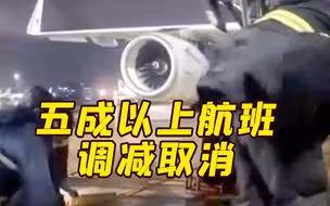 受台风影响 上海浦东虹桥两机场五成以上航班调减取消