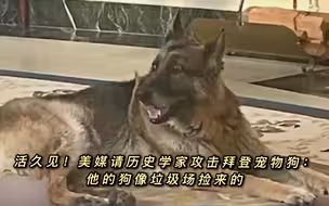 活久见！美媒请历史学家攻击拜登宠物狗：他的狗像垃圾场捡来的