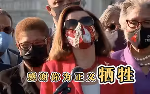 蹭吃弗洛伊德人血馒头的佩洛西被怼了：硬说谋杀是牺牲，闭嘴吧！
