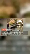 女子踩空坠湖因羽绒服漂浮被救，网友：大难不死必有“厚服”