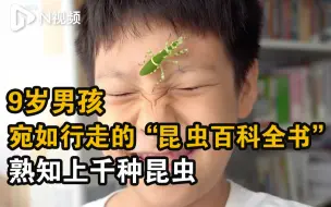 从小不爱手机爱虫，深圳9岁男孩科普昆虫视频获千万流量