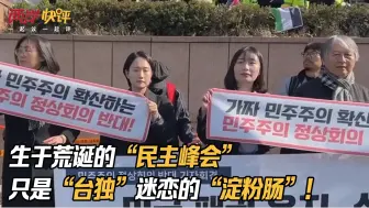 生于荒诞的“民主峰会”，只是“台独”迷恋的“淀粉肠”！