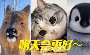 宝贝～今天过得怎么样？