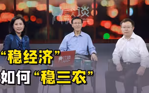 三农三人谈丨“稳经济”如何“稳三农”