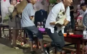 凌晨四点云南人的快乐，扛着狗扛着羊跳舞。