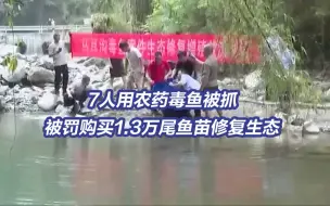 7人用农药在河流中毒鱼被罚增殖放流修复生态