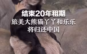 瘦骨嶙峋！结束20年租期 旅美大熊猫丫丫和乐乐将归还中国
