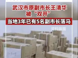武汉市原副市长王清华被“双开”！当地3年已有5名副市长落马