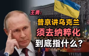北大王勇：普京讲乌克兰须去纳粹化到底指什么？