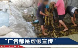 “老坛”酸菜厂被罚55万，监管局：检验报告的重要数据是随意编造