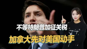 特鲁多先发制人，还没等特朗普上台，就对美国采取行动