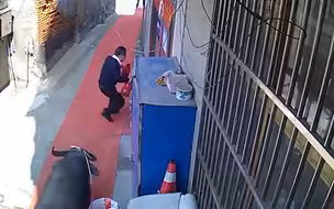 惊险！水牛发疯逃出屠户顶伤3人 民警警车堵门开枪击毙