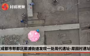 成都平原发现春秋时期规模最大的墓地 戳视频一睹真容