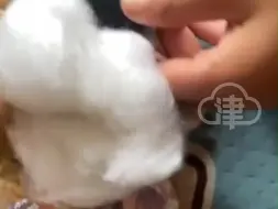 女生套圈赢回玩偶 几天后发现玩偶内藏摄像头 当事人：鼻子位置不易发现 拆开后拿去销毁了 提醒：娃娃带回家要仔细检查