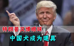 为了500只狗，特朗普亲自站台筹款：要把它们从中国带回美国