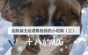 【小奶狗“十八”】十八的VLOG，带你看兵哥哥守护的地方