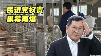 民进党权贵黑幕再爆：陈明文父子贷款上亿元新台币买猪