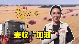 聚焦三农丨麦收“加油”