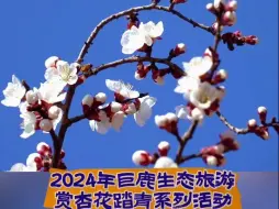 幸福像花儿一样！巧用“花心思”， 做强“花经济”，美景变“钱景”！