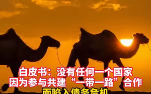 白皮书：没有任何一个国家因为参与共建“一带一路”合作而陷入债务危机