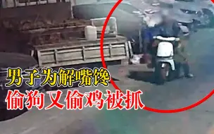 馋虫上脑！男子为解嘴馋偷狗又偷鸡
