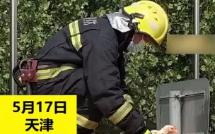 中暑鸡变落汤鸡！13000只活鸡遇堵车险中暑 消防员哥哥一波清凉给鸡洗澡