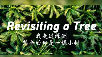 我走过绿洲 想念的却是一棵小树